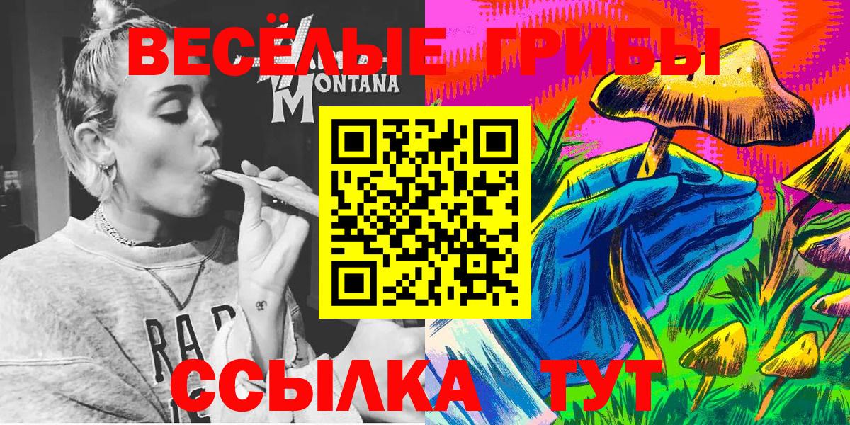 Псилоцибиновые грибы Psilocybe Красногорск