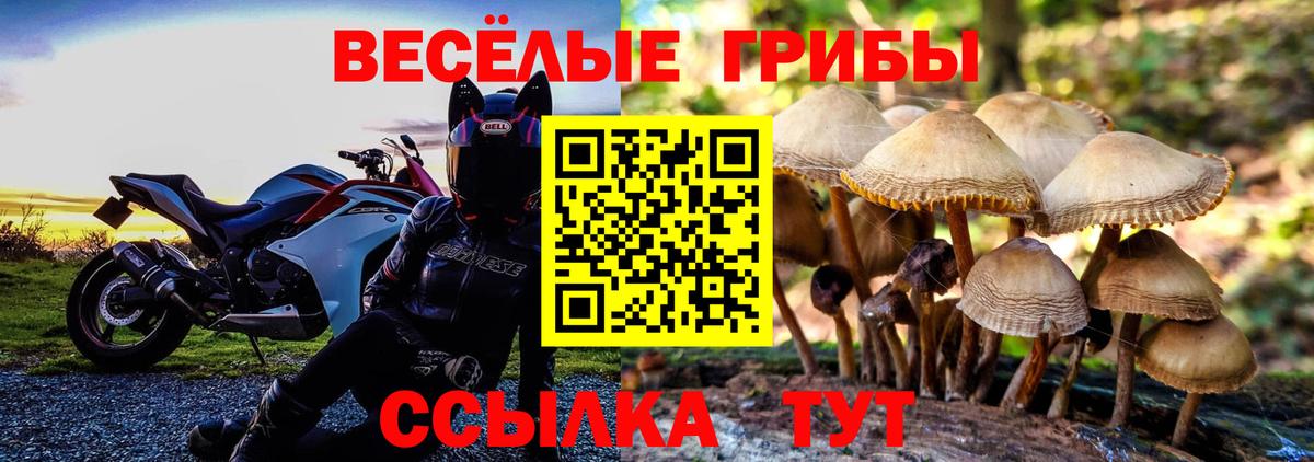 Красногорск  Галлюциногенные грибы Cubensis  Вход с VPN  Галлюциногенные грибы GOLDEN TEACHER 